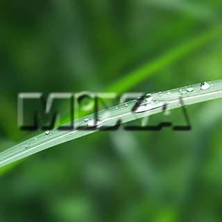 MIXA IMAGE LIBRARY vol.159 %%p^Cg%% tbVEO[