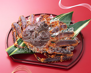 MIXA IMAGE LIBRARY vol.174 New Year Dishes 