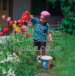 Osamu Nishikawa Series 01 Children and Flowers CO̎quԂƎqv